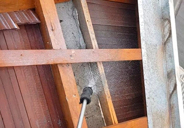 Dedetização e Desinsetização