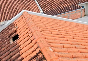 Limpeza de  telhados e calhas