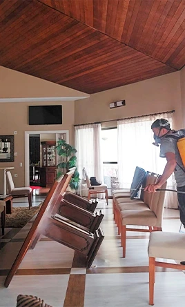 DT Clean Dedetizadora | Dedetizadora - Controle de Pragas em Curitiba. 