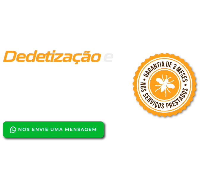 DT Clean Dedetizadora | Dedetizadora - Controle de Pragas em Curitiba.  | Imagem ilustrativa