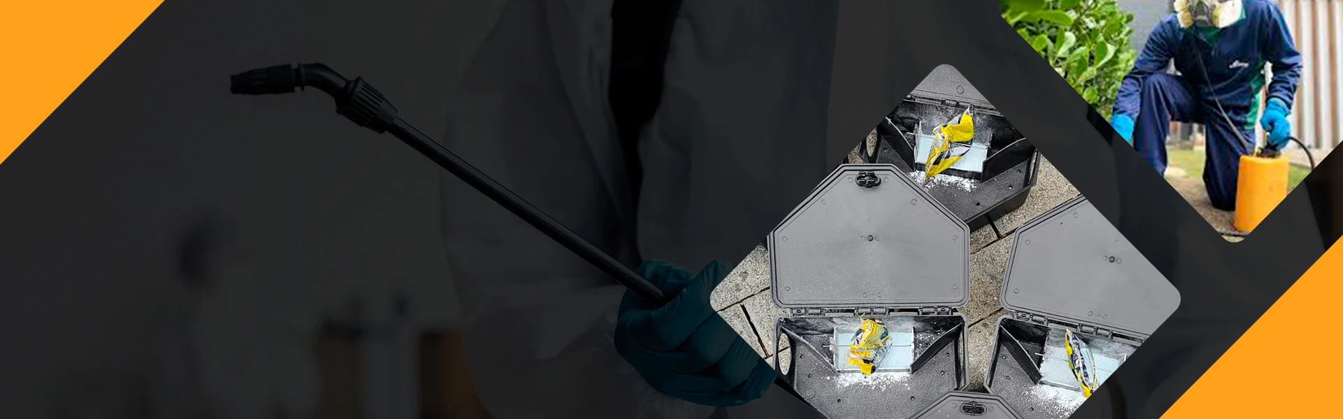 DT Clean Dedetizadora | Dedetizadora - Controle de Pragas em Curitiba.  | Imagem ilustrativa