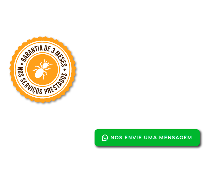 DT Clean Dedetizadora | Dedetizadora - Controle de Pragas em Curitiba.  | Imagem ilustrativa