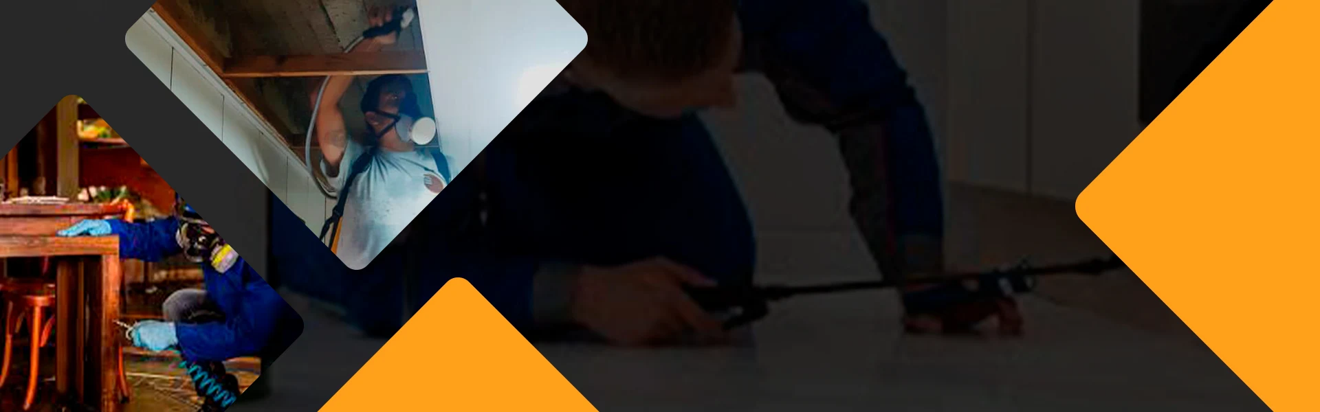 DT Clean Dedetizadora | Dedetizadora - Controle de Pragas em Curitiba.  | Imagem ilustrativa