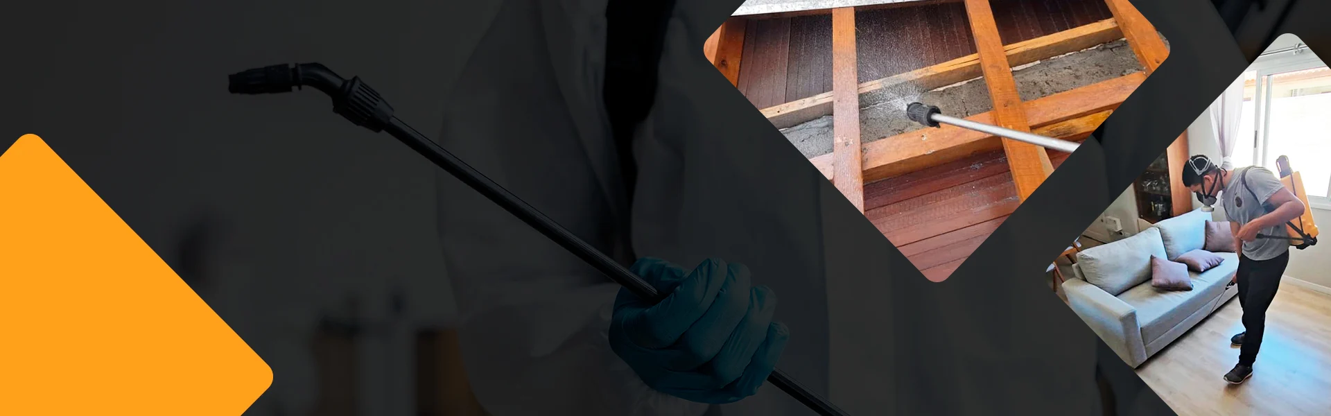 DT Clean Dedetizadora | Dedetizadora - Controle de Pragas em Curitiba.  | Imagem ilustrativa